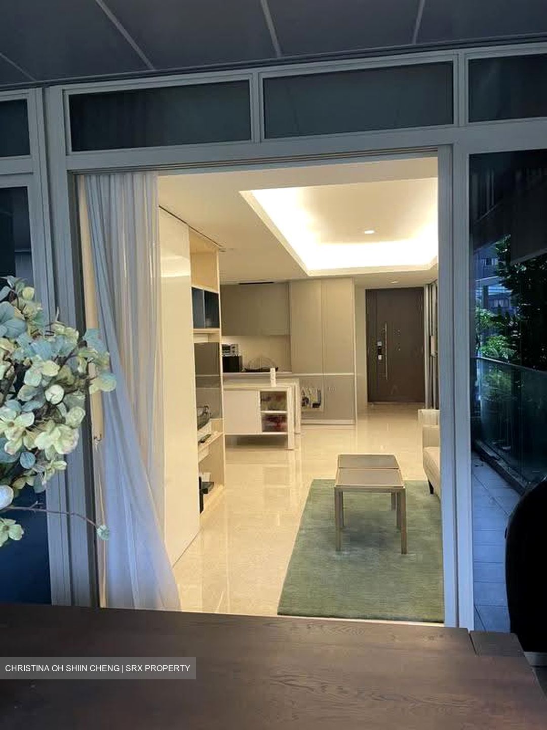 Cairnhill Nine (D9), Apartment #610977281
